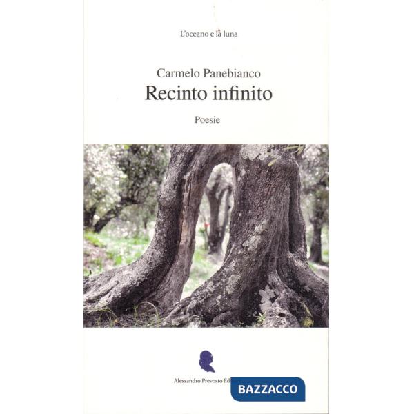 Recinto infinito