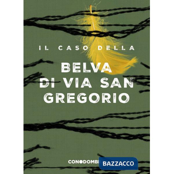 Caso della Belva di via San Gregorio (Il)