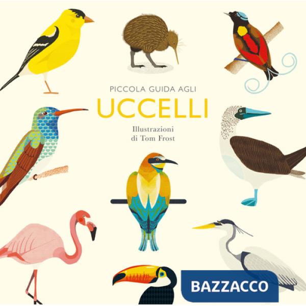 Piccola guida agli uccelli. Ediz. illustrata