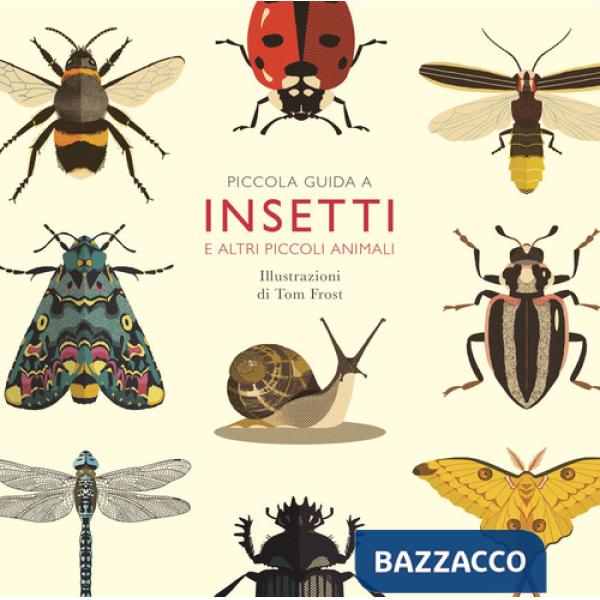 Piccola guida a insetti e altri piccoli animali