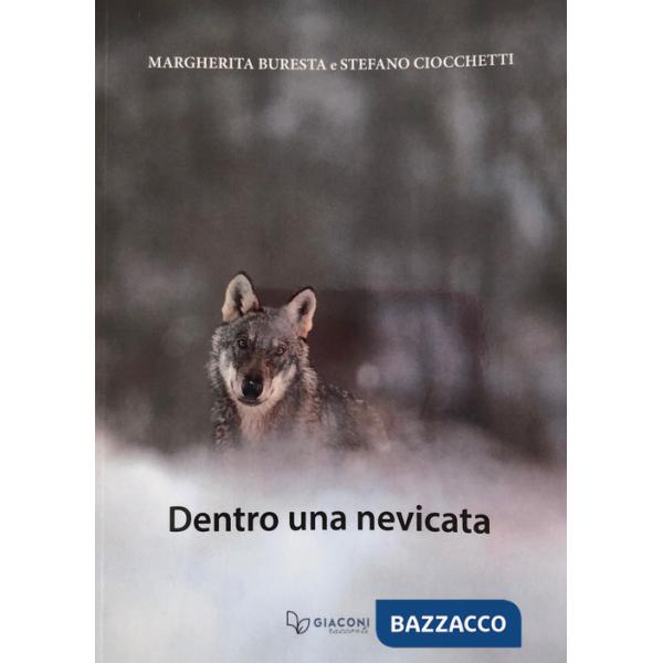 Dentro una nevicata. Ediz. illustrata