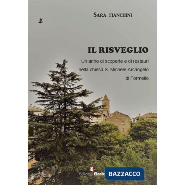 Risveglio. Un anno di scoperte e di restauri nella chiesa S. Michele Arcangelo di Formello (Il)