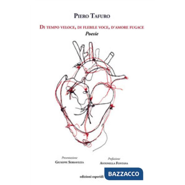 Di tempo veloce, di flebile voce, d'amore fugace