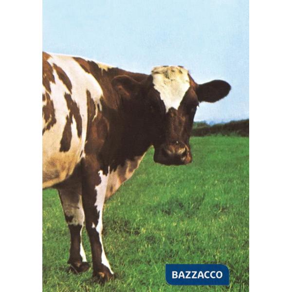 Atom Heart Mother. Il cuore nuovo dei Pink Floyd