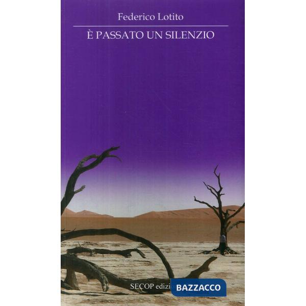 È passato un silenzio