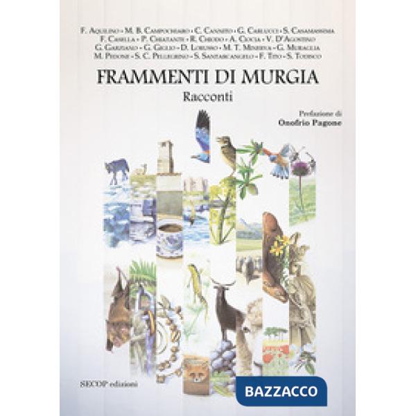 Frammenti di Murgia. Ediz. illustrata