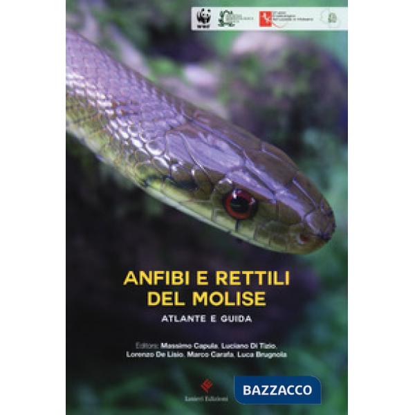Anfibi e rettili del Molise. Atlante e guida