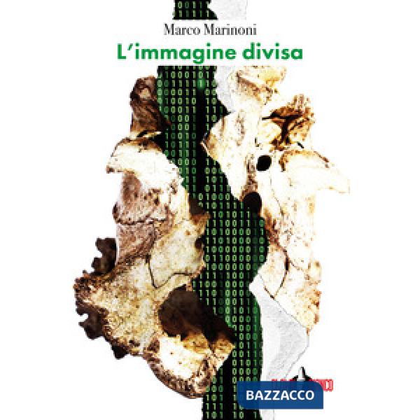 Immagine divisa (L')