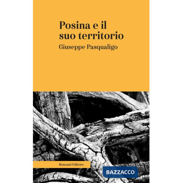 Posina e il suo territorio. Nei rapporti fisio-medico-storico-statistici. Ediz. integrale
