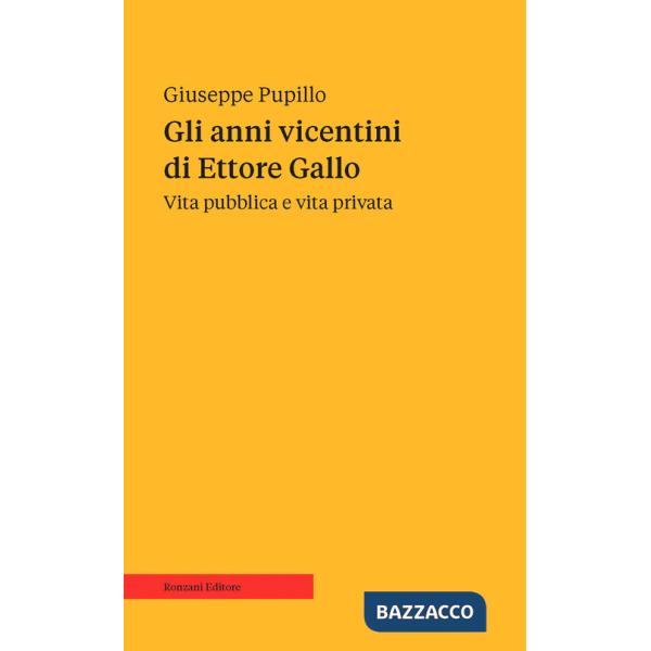 Anni vicentini di Ettore Gallo. Vita pubblica e vita privata (Gli)