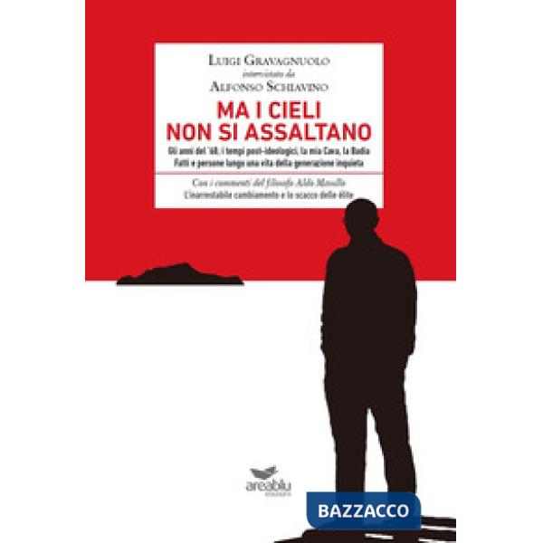 Ma i cieli non si assaltano. Gli anni del '68, i tempi post-ideologici, la mia Cava, la Badia. Fatti e persone lungo una vita de