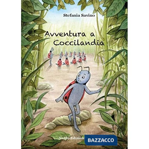 Avventura a Coccilandia