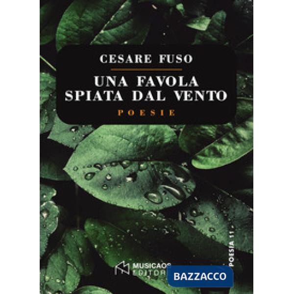 Favola spiata dal vento (Una)