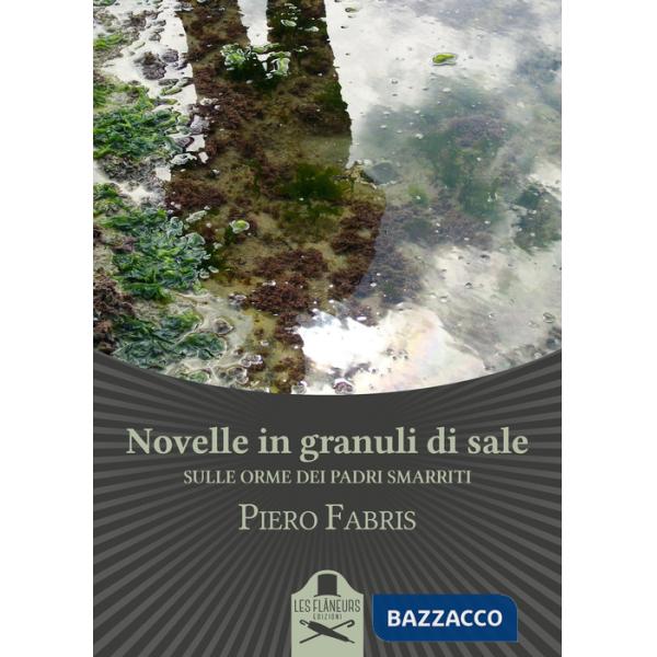 Novelle in granuli di sale. Sulle orme dei padri smarriti