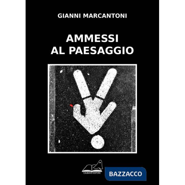 Ammessi al paesaggio