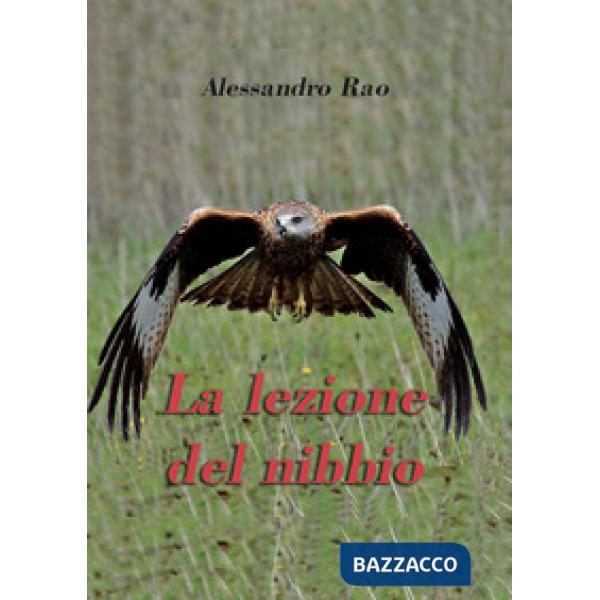 Lezione del nibbio (La)