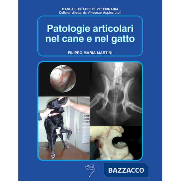 Patologie articolari nel cane e nel gatto