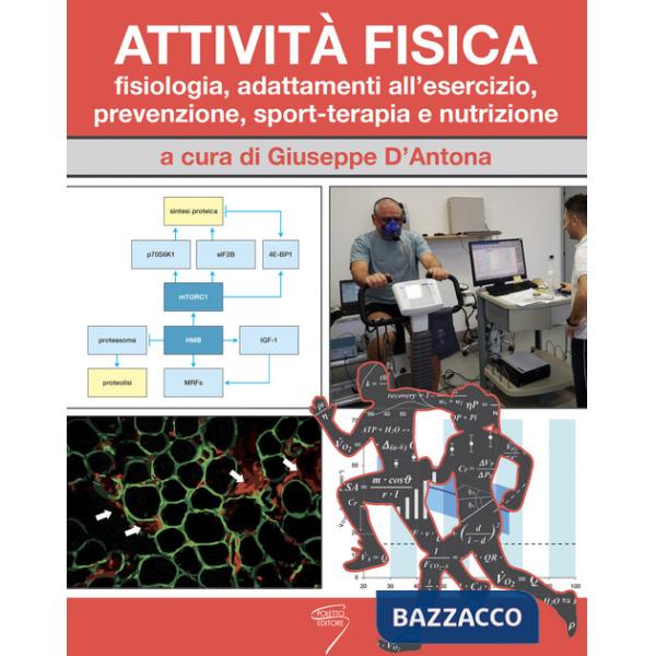 Attività fisica. Fisiologia, adattamenti all'esercizio, prevenzione, sport-terapia e nutrizione. Con Contenuto digitale per down