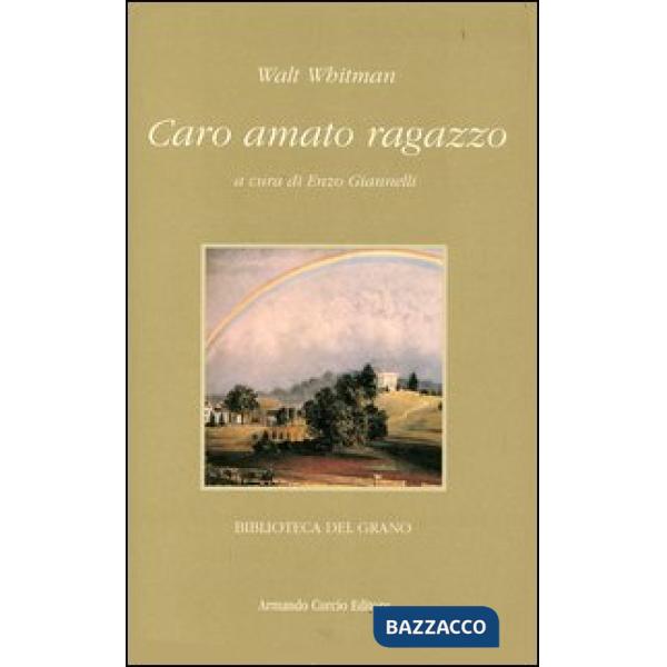 Caro amato ragazzo. Lettere d'amore a un giovane vetturino 1868-1880