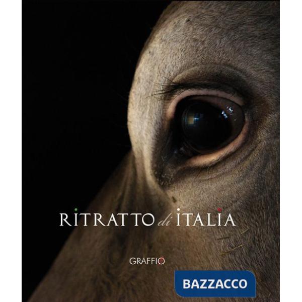 Ritratto di Italia. Ediz. illustrata. Con DVD
