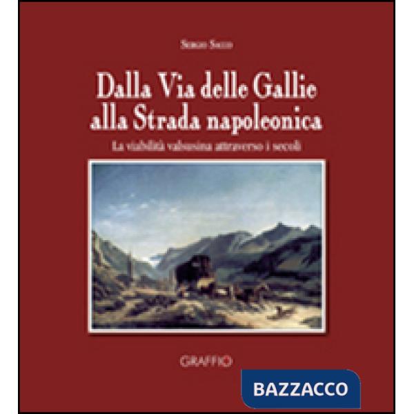 Dalla via delle Gallie alla strada napoleonica. La viabilità valsusina attraverso i secoli