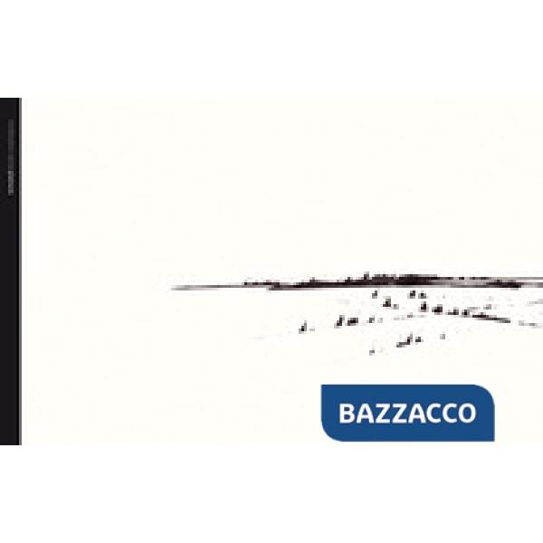 Inchiostro carta pianura. Ediz. illustrata