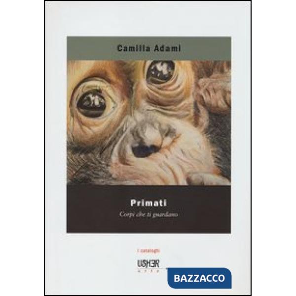 Primati. Corpi che ti guardano