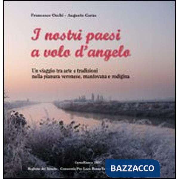 Nostri paesi a volo d'angelo. Un viaggio tra arte e tradizioni nella pianura ver