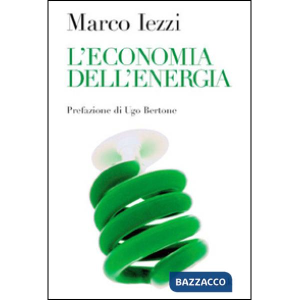 Economia dell'energia (L')