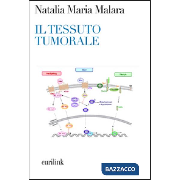 Tessuto tumorale. Nuove prospettive diagnostico-terapeutiche in oncologia (Il)