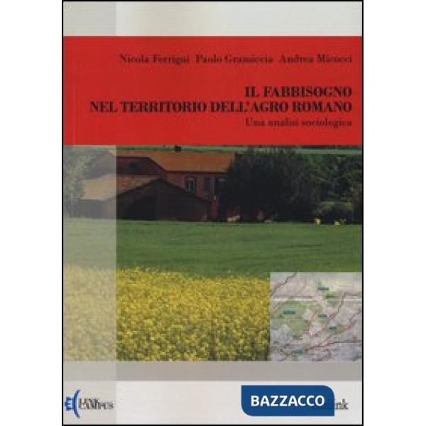 Fabbisogno nel territorio dell'agro romano. Una analisi sociologica (Il)