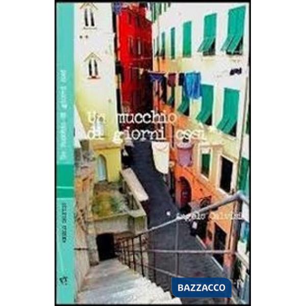 Mucchio di giorni così (Un)