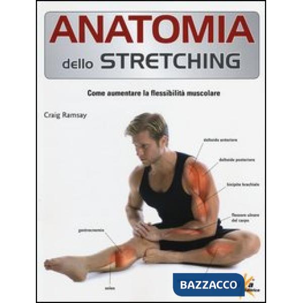 Anatomia dello stretching. Come aumentare la flessibilità muscolare