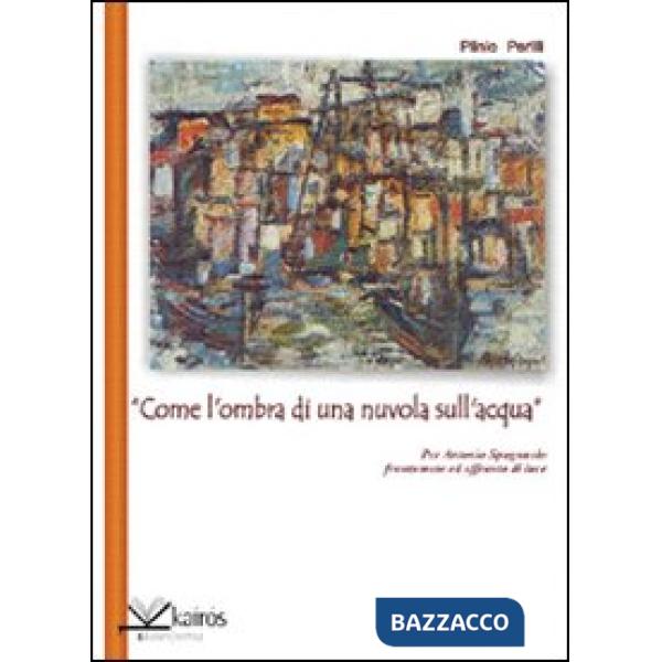 «Come l'ombra di una nuvola sull'acqua» per Antonio Spagnuolo frantumato e affranto di luce