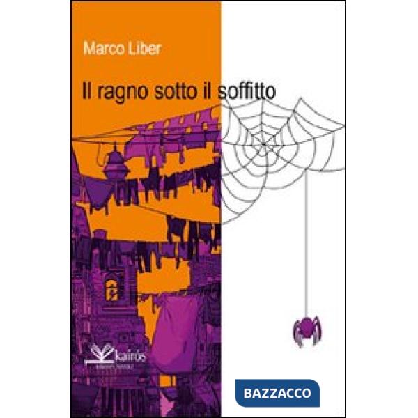 Ragno sotto il soffitto (Il)