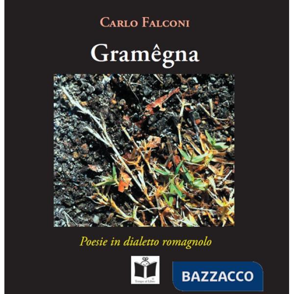 Gramêgna. Poesie in dialetto romagnolo. Ediz. italiana, tedesca, inglese e francese