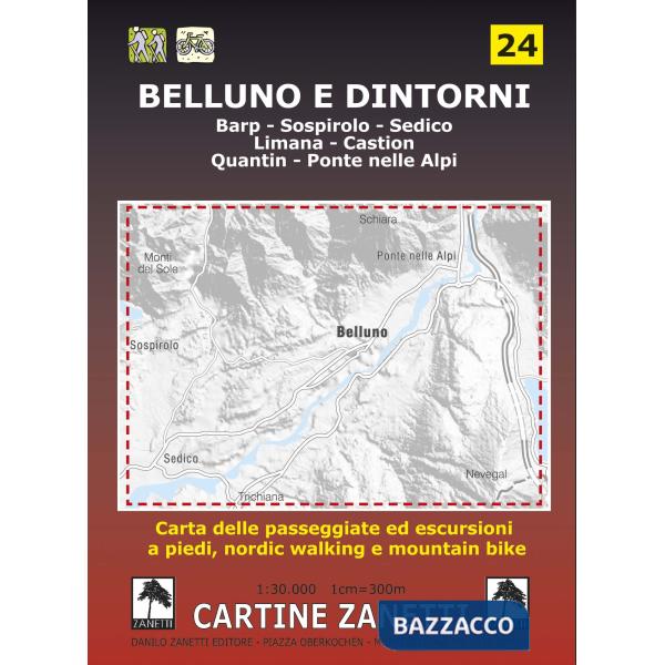 BELLUNO E DINTORNI CARTINA