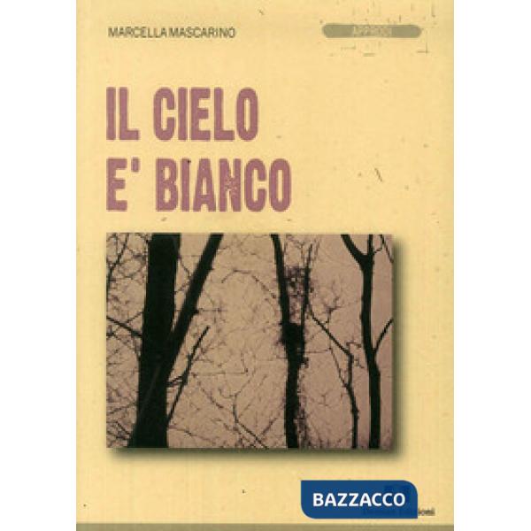Cielo è bianco (Il)