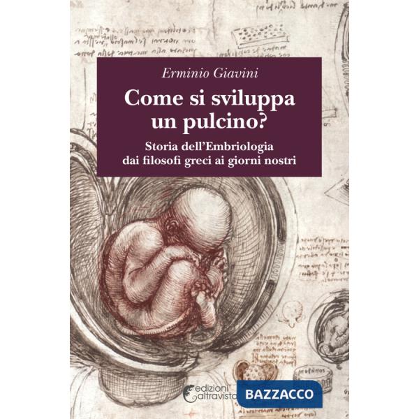 Come si sviluppa un pulcino? Storia dell'embriologia dai filosofi greci ai giorni nostri