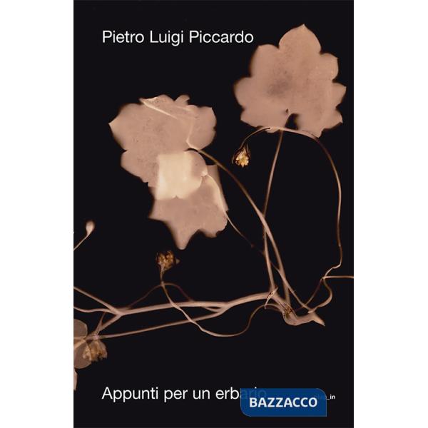 Appunti per un erbario. Ediz. illustrata