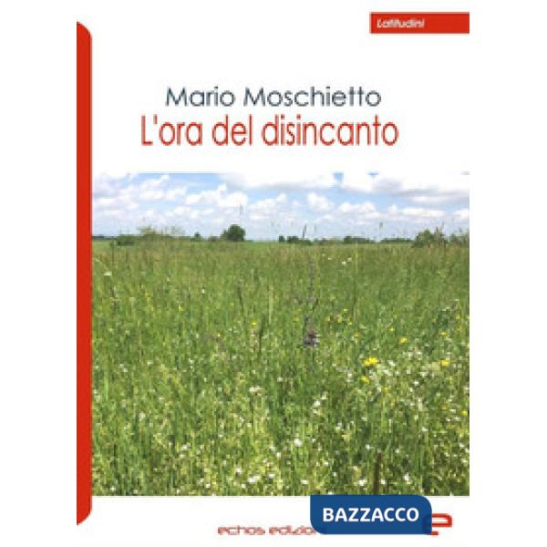 Ora del disincanto (L')