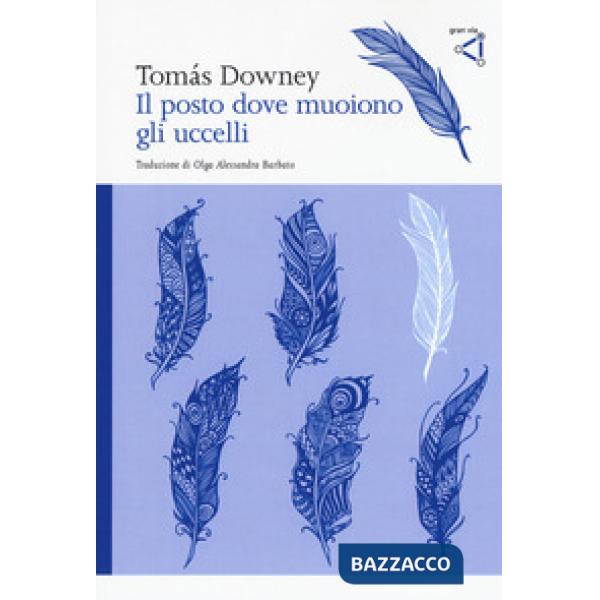 Posto dove muoiono gli uccelli (Il)