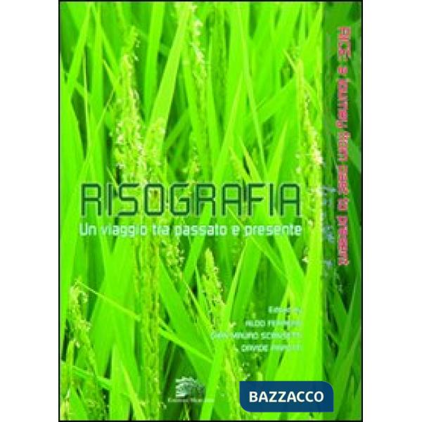 Risografia. Un viaggio tra passato e presente-Rice. A journey from past to present. Ediz. bilingue