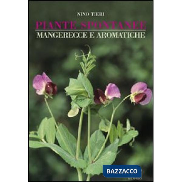 Piante spontanee mangerecce e aromatiche