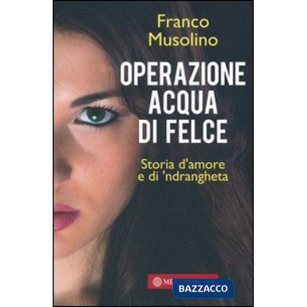 Operazione acqua di felce. Storia d'amore e di 'ndrangheta