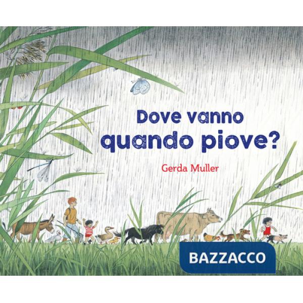 Dove vanno quando piove? Ediz. illustrata
