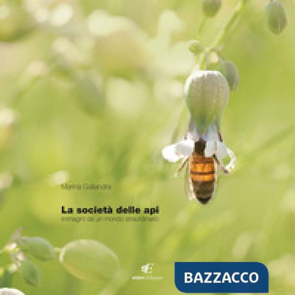 Società delle api. Immagini di un mondo staordinario. Ediz. italiana e inglese (