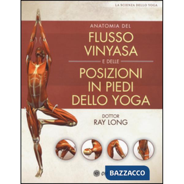 Anatomia del flusso vinyasa e delle posizioni in piedi dello yoga