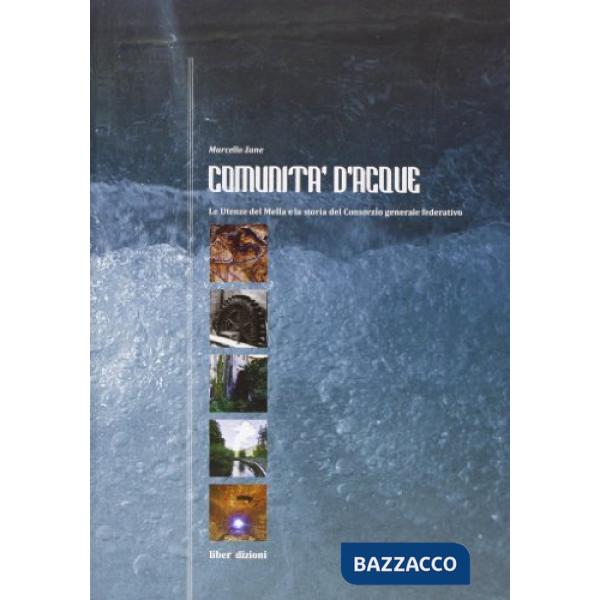 Comunità d'acque. Le utenze del Mella e la storia del consorzio generale federat