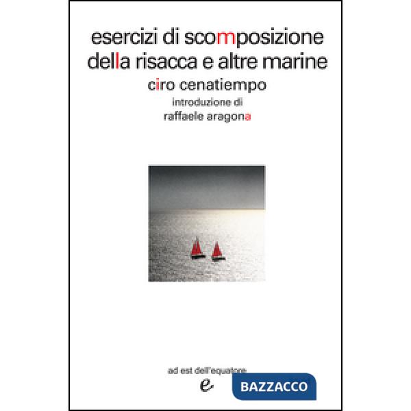 Esercizi di scomposizione della risacca e altre marine. Piccolo manuale di leggeratura e geografia superficiale